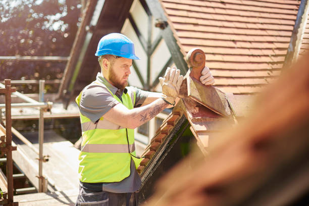 Best Roof Repair Services  in Junction City, KY