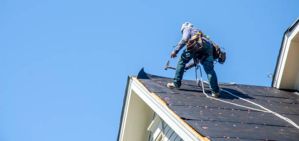 Best Storm Damage Roof Repair  in Junction City, KY